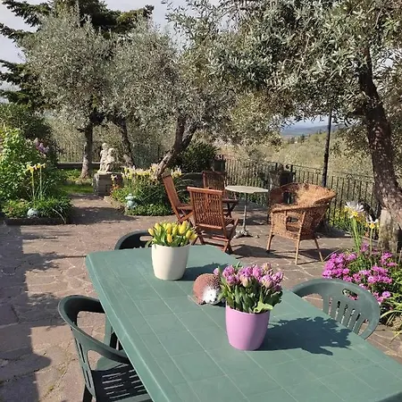 Il Paradiso *